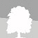 Forest fitness club