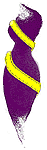 Beostudio