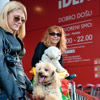Vaučeri za besplatnu vakcinaciju, saveti veterinara i razni pokloni za vas u IDEA EXTRA prodavnici